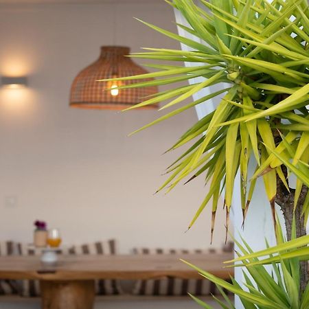Casa Da Avo Pam Villa Alcáçovas Eksteriør billede